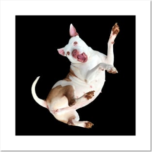 Happy Pitbull sticker Posters and Art